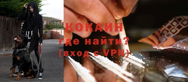 PSILOCYBIN Корсаков