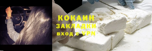 PSILOCYBIN Корсаков