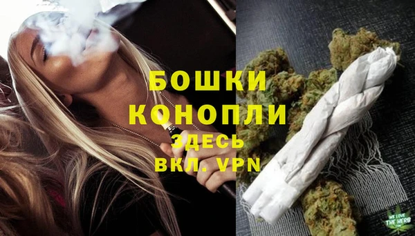 PSILOCYBIN Корсаков