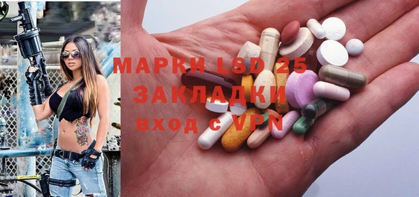 PSILOCYBIN Корсаков