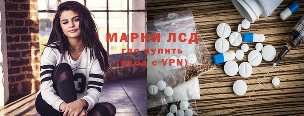PSILOCYBIN Корсаков