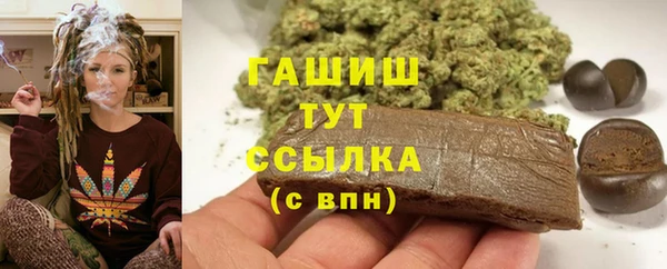 PSILOCYBIN Корсаков
