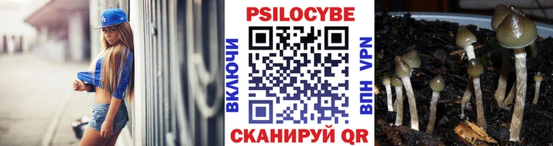 Купить где  Сольцы  Галлюциногенные грибы GOLDEN TEACHER 